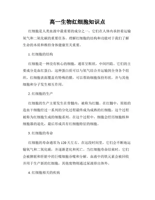 高一生物红细胞知识点