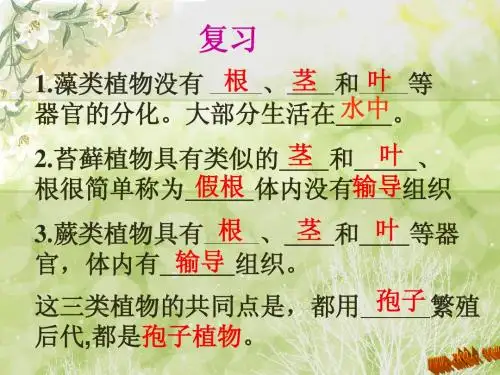 种子植物