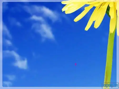 我们的状元