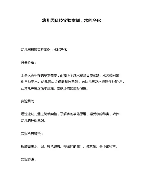 幼儿园科技实验案例：水的净化