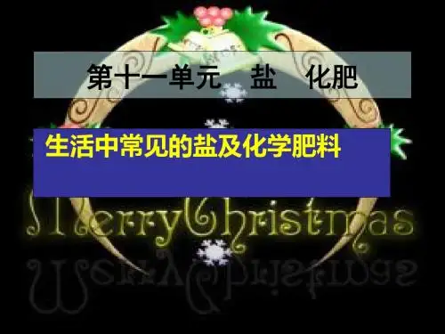 生活中常见的盐及化学肥料PPT课件 人教版