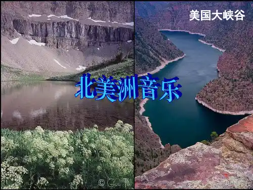 北美洲音乐
