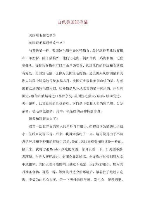 白色美国短毛猫