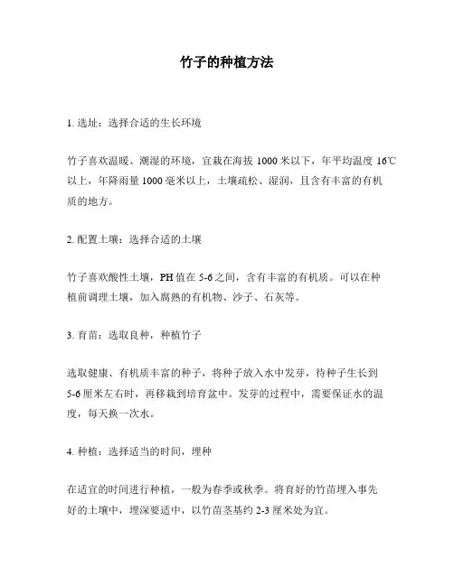 竹子的种植方法