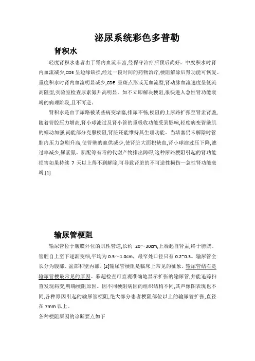 泌尿系统彩色多普勒
