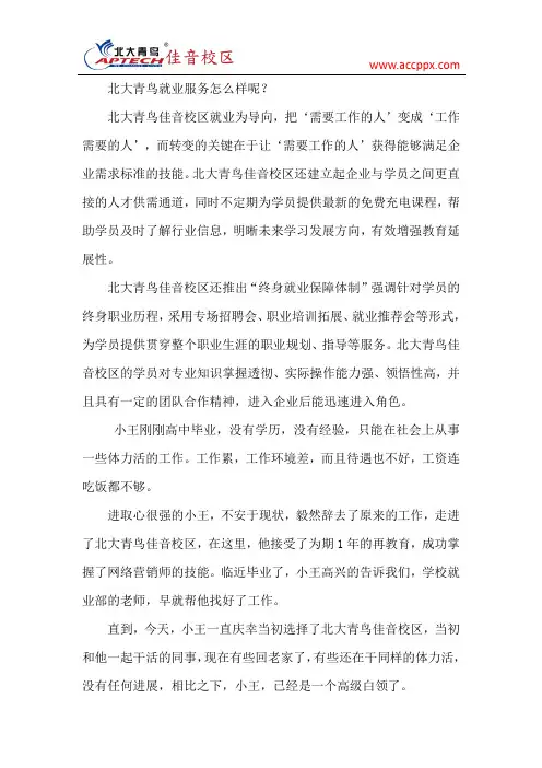 北大青鸟就业服务