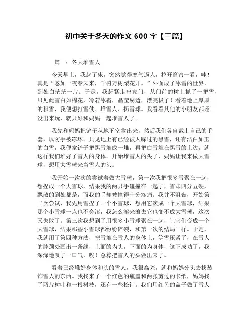 初中关于冬天的作文600字【三篇】