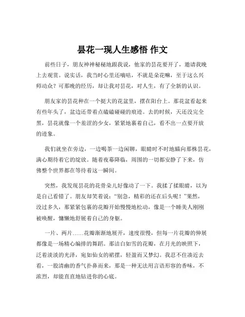 昙花一现人生感悟 作文