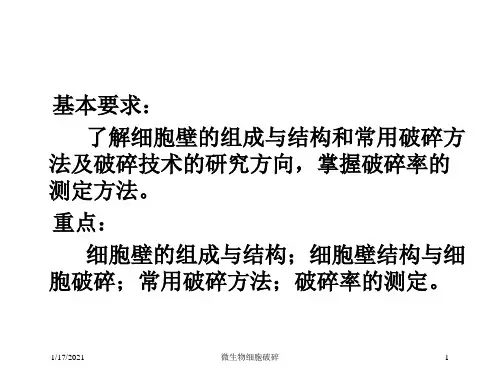 微生物细胞破碎培训课件