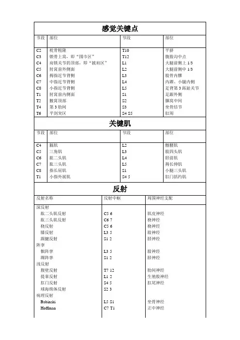 脊髓损伤平面