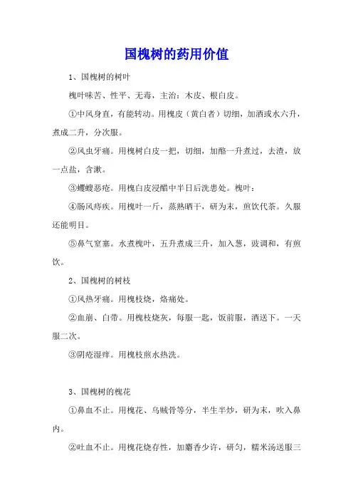 国槐树的药用价值
