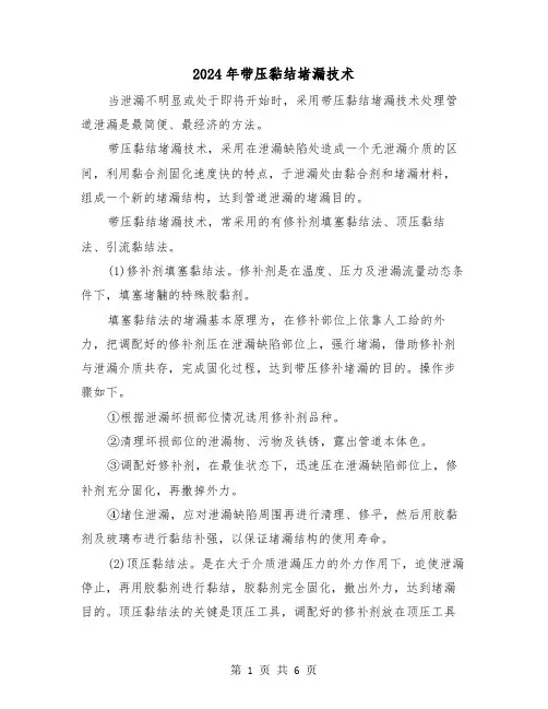 2024年带压黏结堵漏技术(三篇)