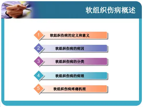 软组织伤病概述