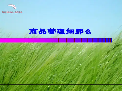 安踏商品管理细则幻灯片PPT