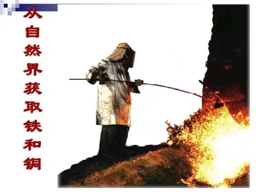 【高中化学】从自然界中获取铁和铜PPT课件3