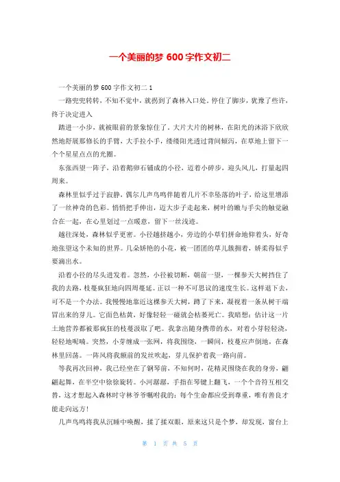 一个美丽的梦600字作文初二