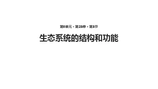 (完整)【教学课件】《生态系统的结构和功能》精品PPT资料精品PPT资料