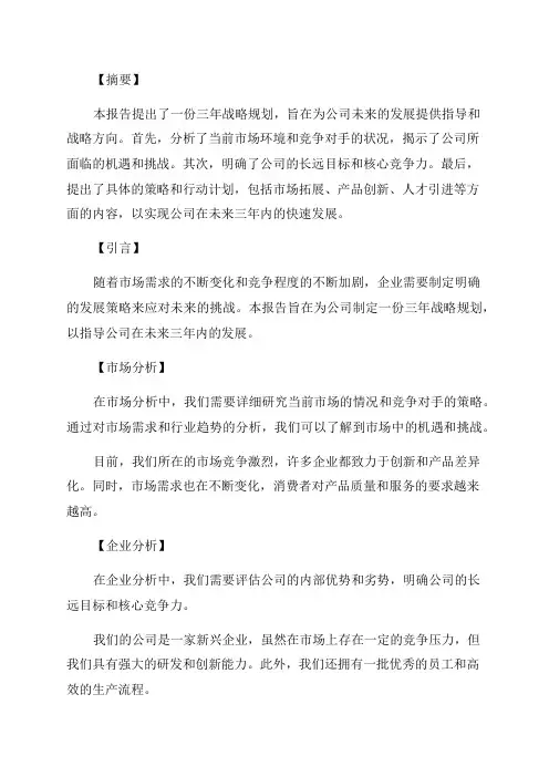 三年战略规划报告