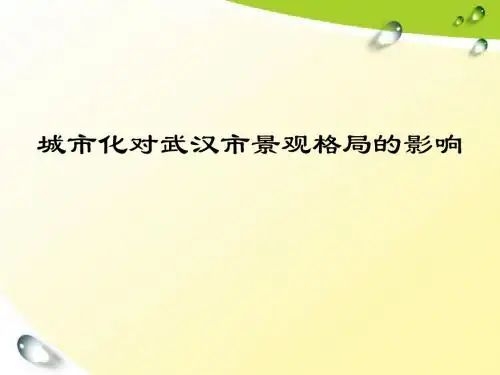 城市化对武汉市土地利用及景观格局的影响