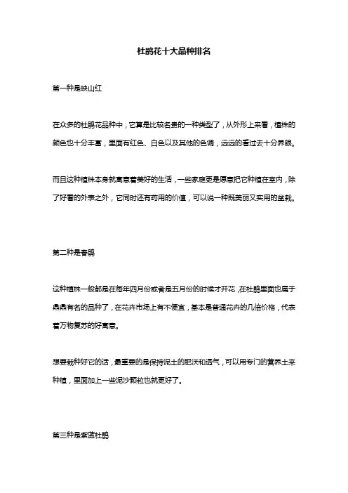 杜鹃花十大品种排名