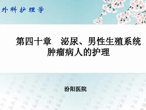 泌尿男性生殖系统肿瘤病人的护理