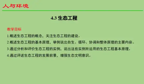 【课件】生态工程课件-2022-2023学年高二上学期生物人教版(2019)选择性必修2