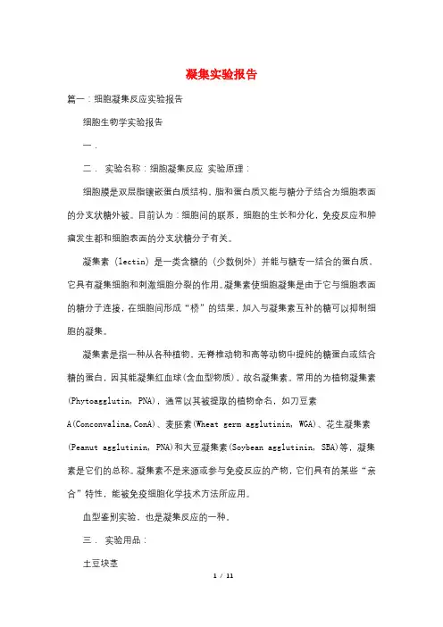 凝集实验报告
