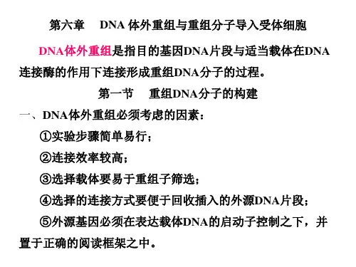 基因工程原理与技术课件