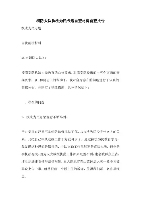 消防大队执法为民专题自查材料自查报告