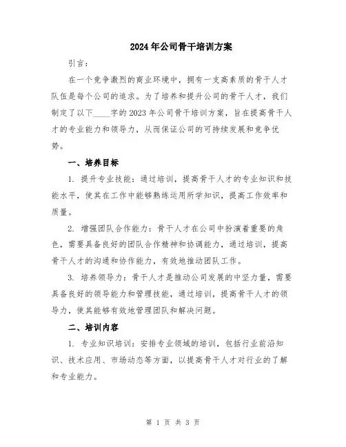 2024年公司骨干培训方案