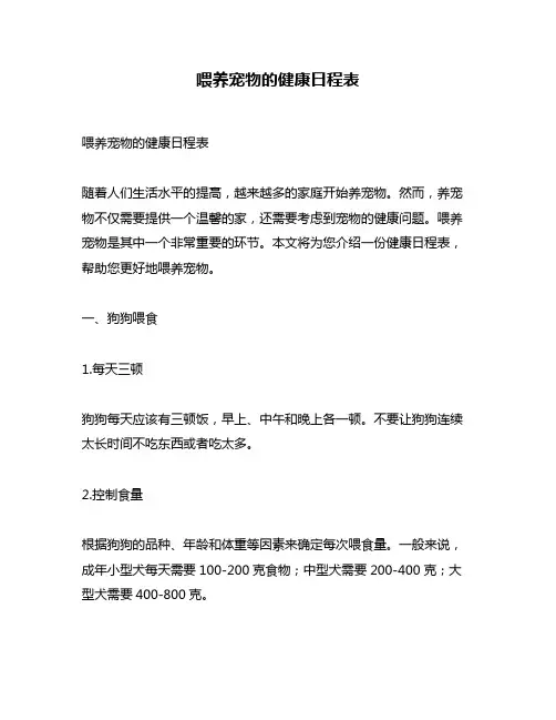 喂养宠物的健康日程表