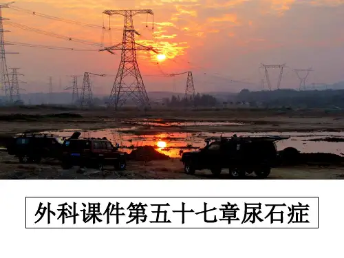 最新外科课件第五十七章尿石症教学讲义PPT课件