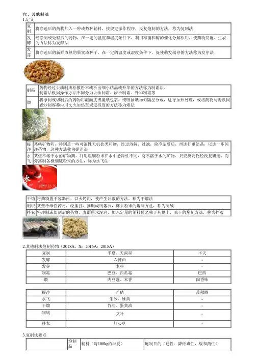 执业药师考试中药学专业知识一之其他制法考点复习