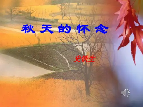 《菊花》ppt课件