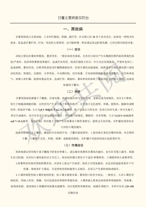 甘薯主要病害及防治