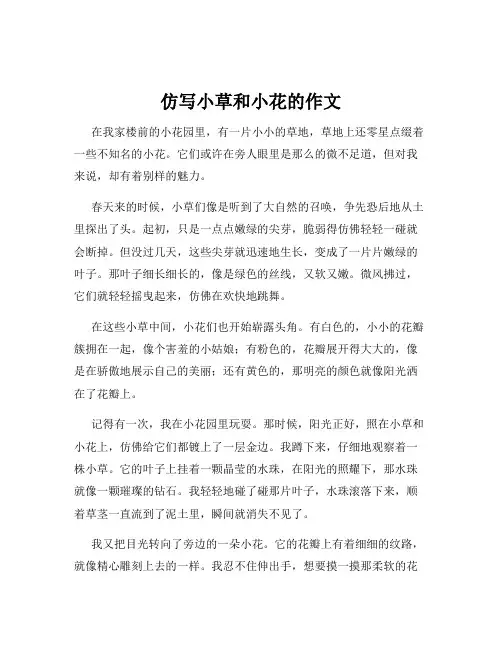 仿写小草和小花的作文