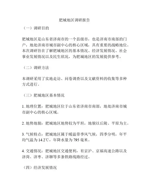 肥城地区调研报告