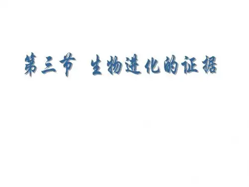 脊椎动物总结