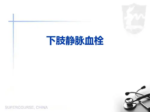 下肢静脉血栓形成全解培训课件