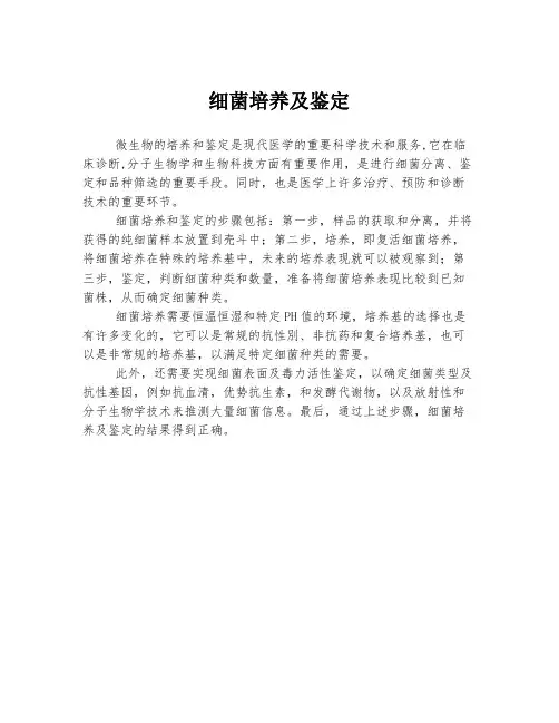 细菌培养及鉴定