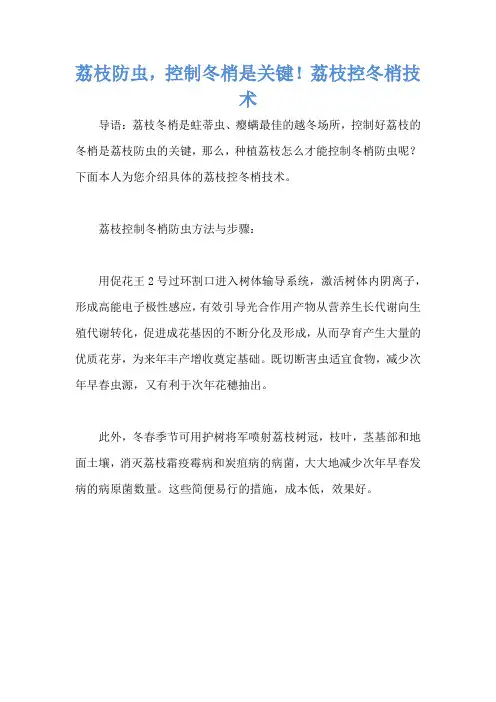 荔枝防虫,控制冬梢是关键!荔枝控冬梢技术