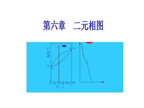 6.1二元相图-相图的基本知识