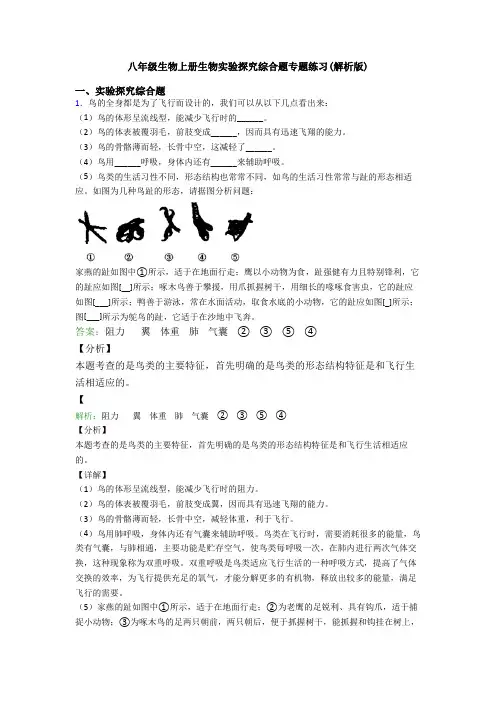 八年级生物上册生物实验探究综合题专题练习(解析版)
