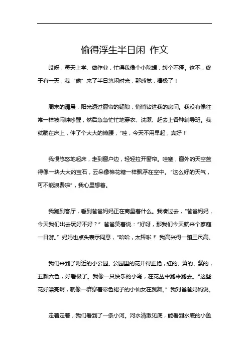 偷得浮生半日闲 作文