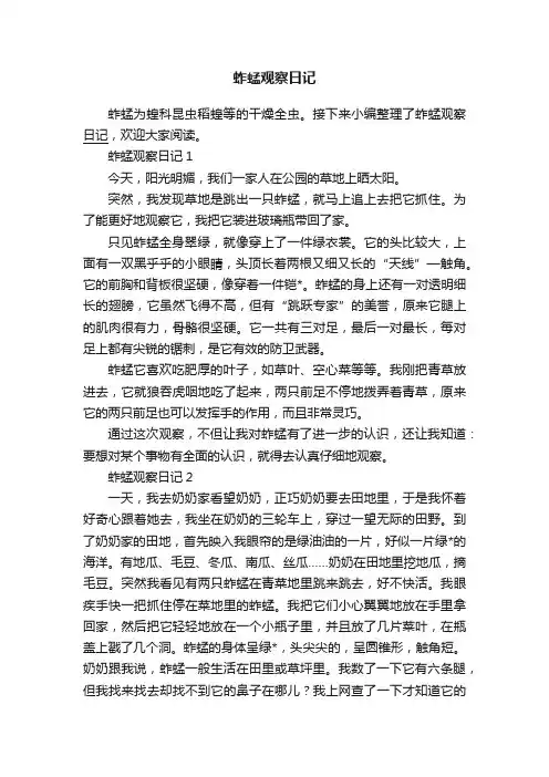 蚱蜢观察日记