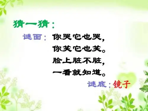 26小花猫照镜子