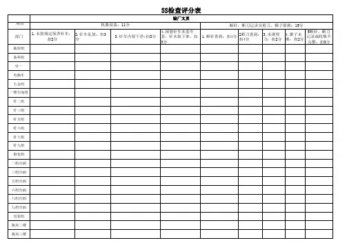 5S每日检查表