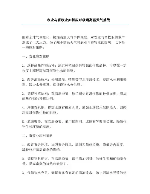 农业与畜牧业如何应对极端高温天气挑战
