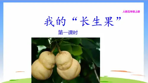 《我的“长生果”》课件教学(共11张PPT)