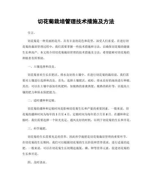 切花菊栽培管理技术措施及方法